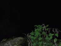 otta Intraleo-20100515 025
